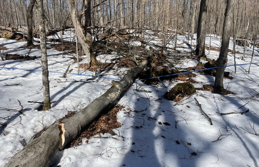 A busy week & news about the weekend