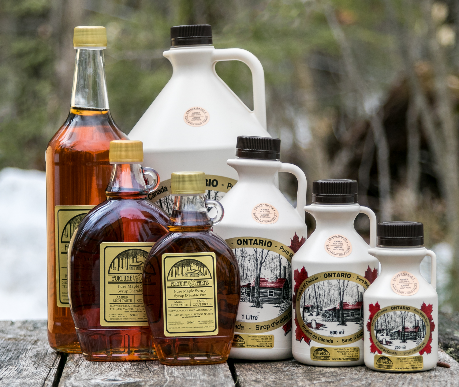 Maple Syrup